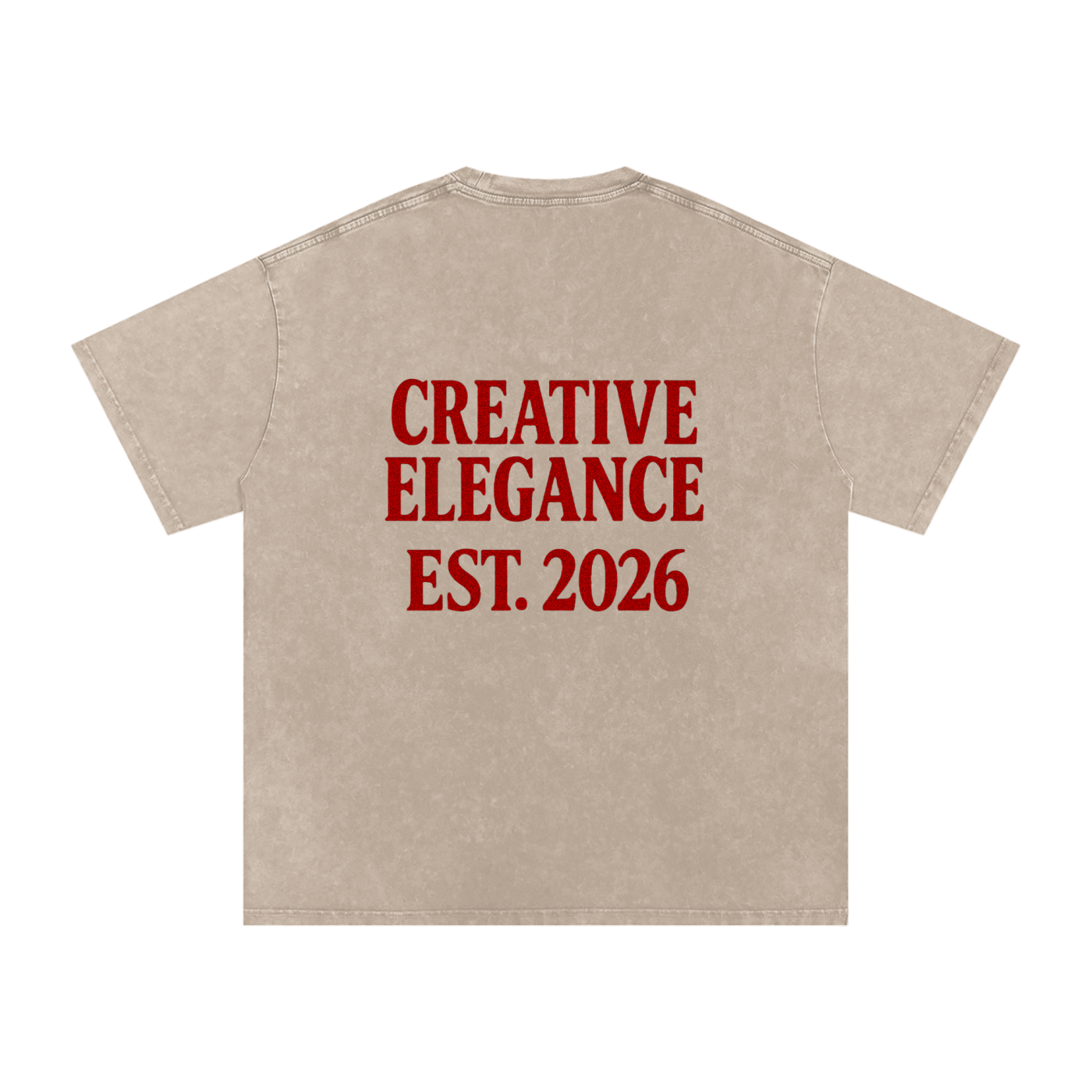 Snow Washed Oversized Cotton T-Shirt